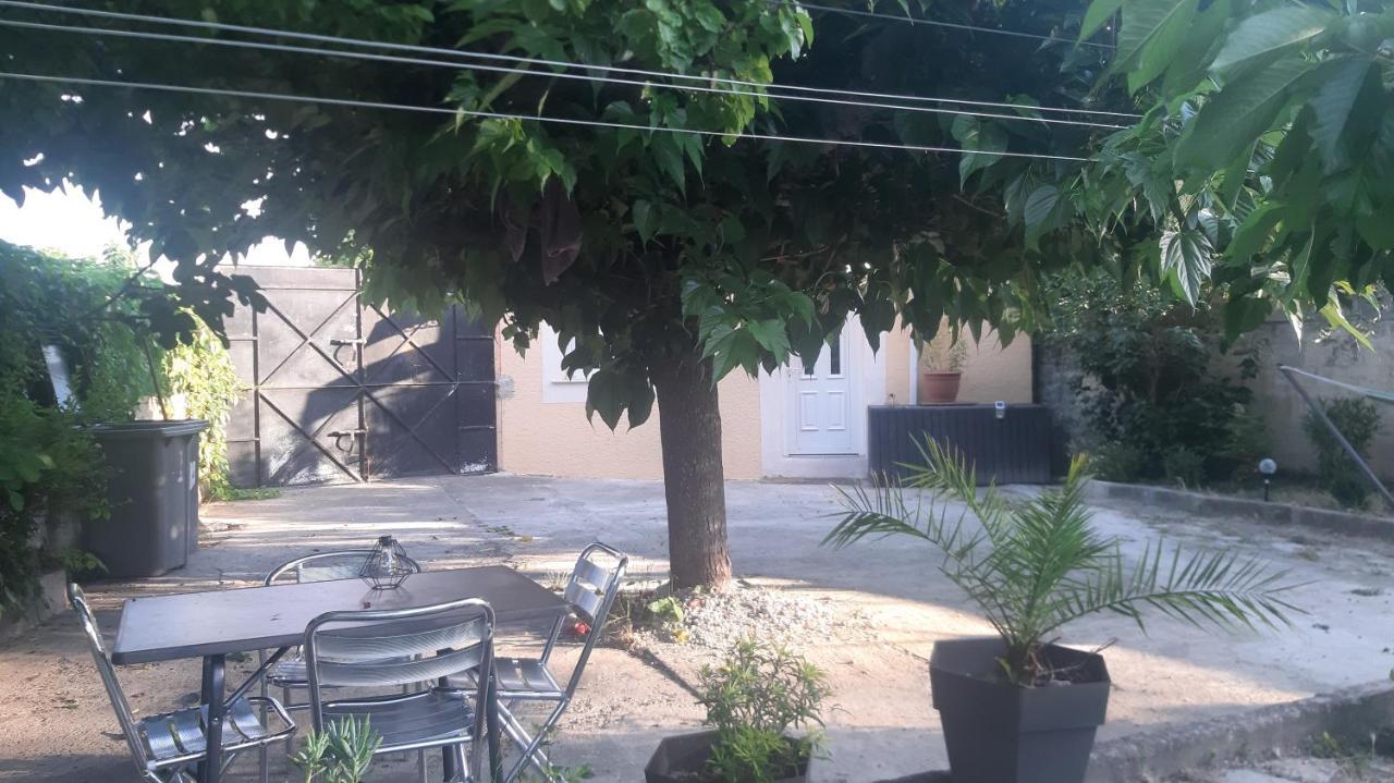 Ogooue Carpentras