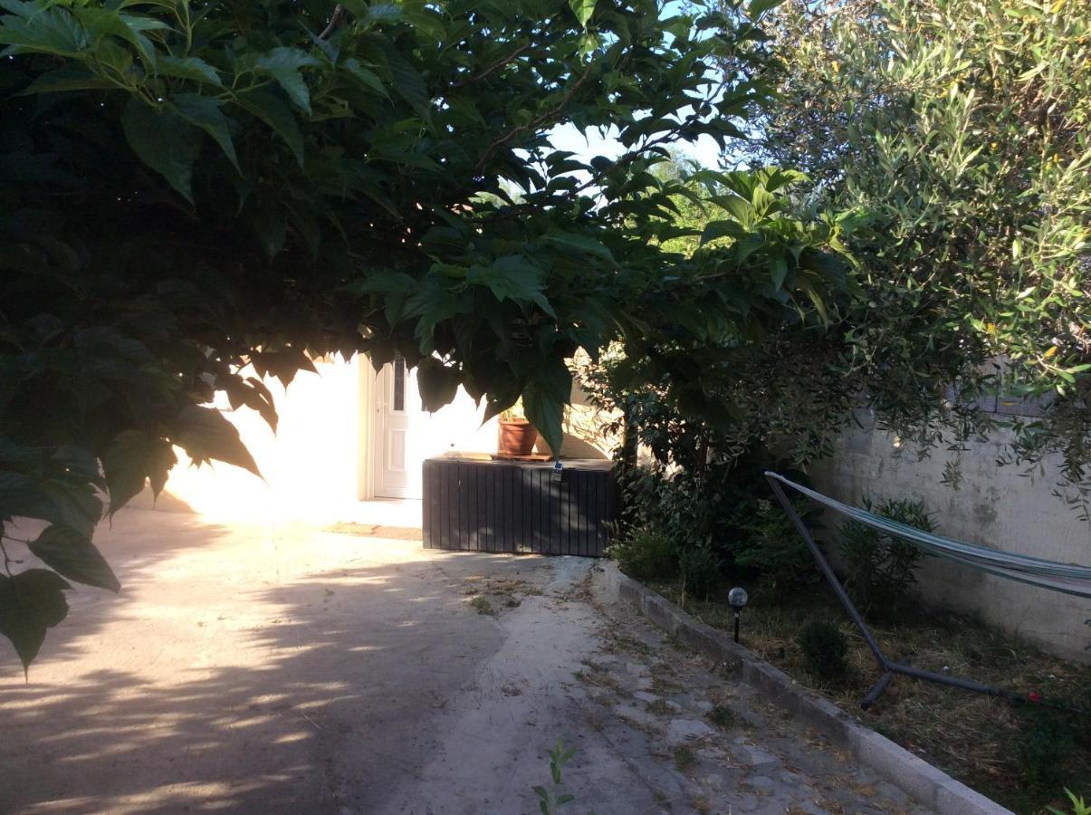 Ogooue * Carpentras