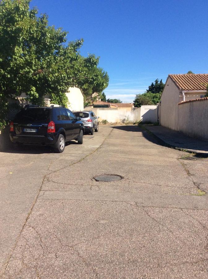 Ogooue Carpentras
